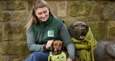 Edinburgh Dog and Cat Home makes final appeal for winter support